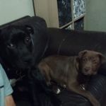 David Mckerron - Instagram Profile Picture of David Mckerron (@mckerrond) on Instagram