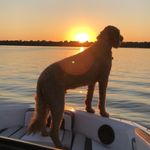 Profile Picture of Scott Dirkes (@scottdirkes) on Instagram