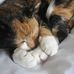 Profile Picture of Conny Weber (@conny.weber.79) on Facebook