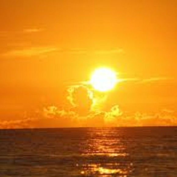 Profile Picture of John Ayala (@textrac) on Poshmark