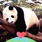 Nancy Cascante - Instagram Profile Picture of Nancy Cascante (@nancy.cascante.94) on Instagram