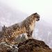 Profile Picture of Murat Laypan (@mlaypan) on Pinterest