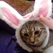 Profile Picture of Paul Pavlidis (@paulpavlidis817) on Youtube