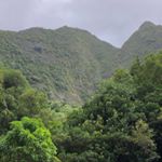 Profile Picture of David Bittner (@matthew5.1) on Instagram