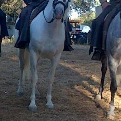 Sergio Palma - Twitter Profile Picture of Sergio Palma (@sergiopalma1986) on Twitter