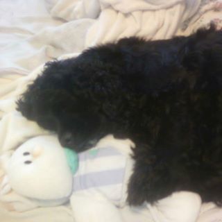 Profile Picture of Brian Blystone (@Brian-Blystone) on Facebook