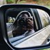 Profile Picture of Scott (@triple5guy) on Twitter