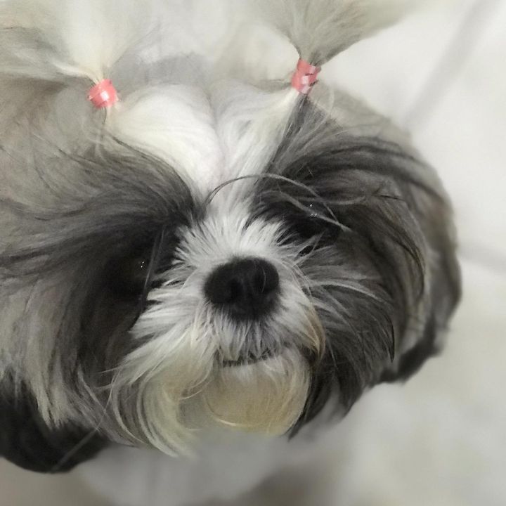 Profile Picture of Ellen Lazo Serran (@jeorge211) on Tiktok