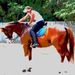Profile Picture of Nancy Qualls (@flhorsegirl) on Pinterest