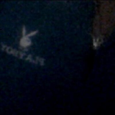 Profile Picture of Cecelia Gonzalez (@cecy53) on Twitter