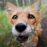 Profile Picture of Dányi Nóra (@danyinora6088) on Instagram