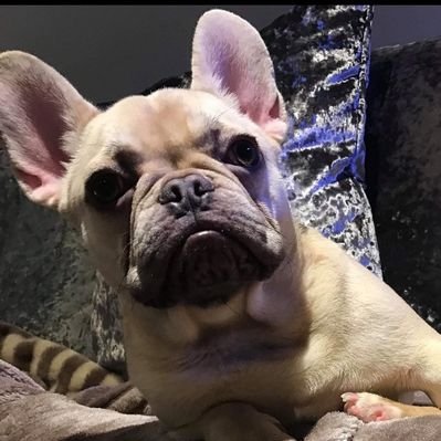 Profile Picture of Ruby Sibley (@RubySibley11) on Twitter