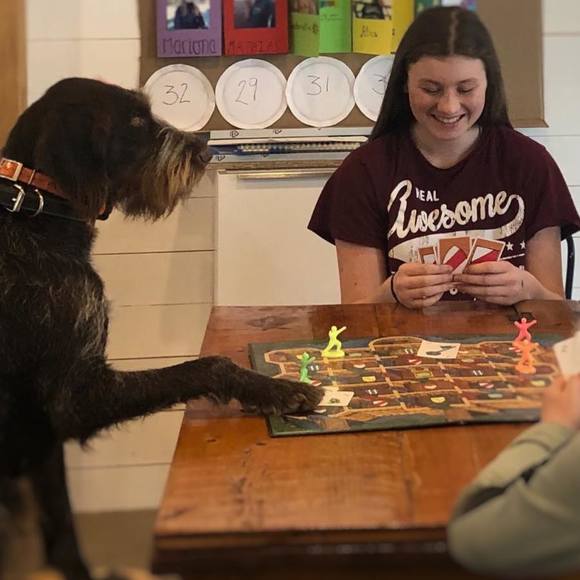 Profile Picture of Alice Caron (@alicecaron954) on Poshmark