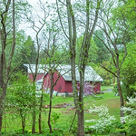 Profile Picture of Qi Huang (@qihuang.53) on Flickr