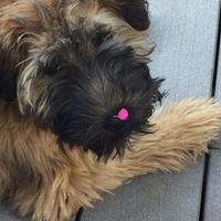 Profile Picture of Suzie Snyder Albert (@suzie-snyder-albert) on Quora