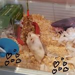 Profile Picture of Aaron Penney (@penneyaaron) on Instagram