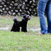 Profile Picture of Eileen Huang (@eileenhuang7455) on Youtube