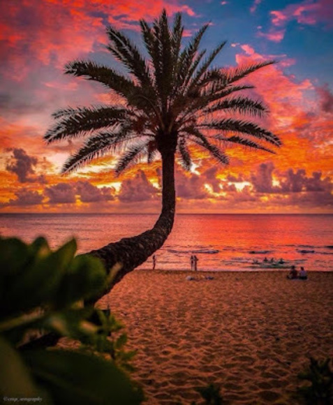 Profile Picture of Rosa Gonzalez (@rosygon9718) on Poshmark