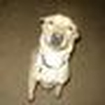 Profile Picture of Jeff Foster (@officerjeff55) on Flickr