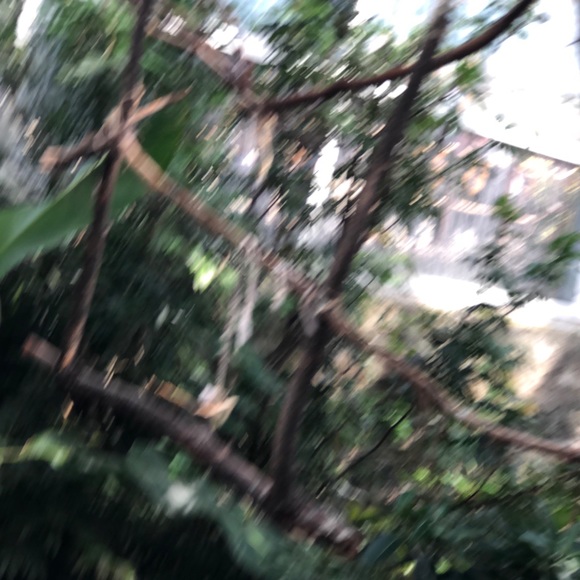 Profile Picture of Shawn Roderick (@shawnroderick) on Poshmark