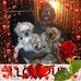 Profile Picture of Darrel Grady (@darrel.grady.9) on Facebook