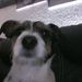 Profile Picture of Carla Pieper (@pieper1152) on Pinterest