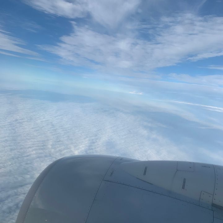 Maxinecollette - Tiktok Profile Picture of Maxinecollette (@faysspaaaammac) on Tiktok