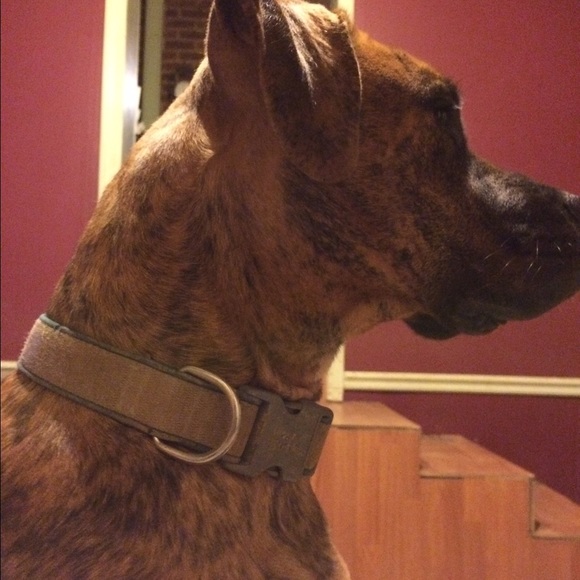 Profile Picture of Peggy Helms (@pgh28112) on Poshmark