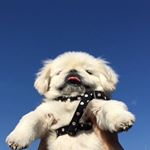 Profile Picture of Lisa & Tabitha ❤️ (@whatisupboizzz) on Instagram