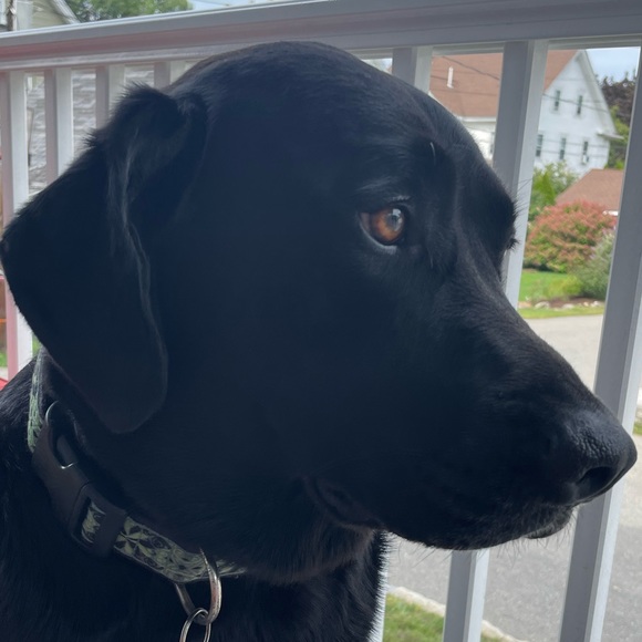 Benjamin Otis - Poshmark Profile Picture of Benjamin Otis (@botis8102) on Poshmark