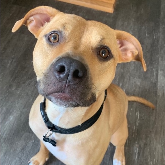 Profile Picture of Lily Brossard (@lbrossard17) on Poshmark