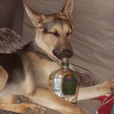 Profile Picture of Joshua Gracia (@Joshua_Gracia_) on Twitter