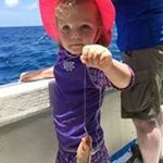 John Koeppel - Instagram Profile Picture of John Koeppel (@tiger10027) on Instagram