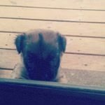 Profile Picture of Dawn Person (@person.dawn) on Instagram
