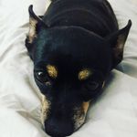 Profile Picture of Brenda McMahon (@b.mcmahon) on Instagram