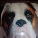 Greg Melgar - Facebook Profile Picture of Greg Melgar (@greg.melgar.2024) on Facebook