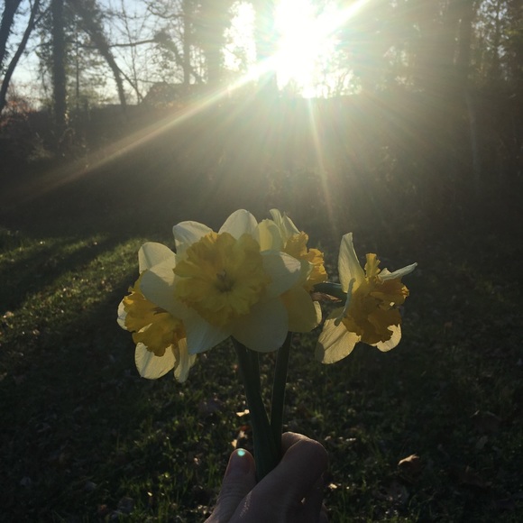 Profile Picture of Hillary Wands (@hhwands) on Poshmark