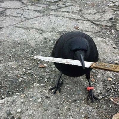 Profile Picture of Richard Morgan (@youneedaclue) on Twitter