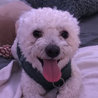 Profile Picture of Joshua Alexander Medina (@lejoshua_) on Instagram