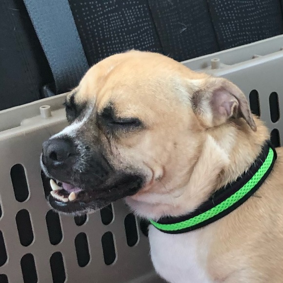 Profile Picture of Dusty Terry (@dustyterry) on Poshmark