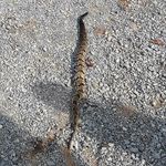 Profile Picture of Jason Rhea (@jason.rhea.35) on Instagram