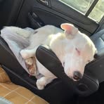 Profile Picture of Heather Schiek Oxborough (@heather.s.oxborough) on Facebook