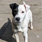 David J Upham - Instagram Profile Picture of David J Upham (@davidjupham) on Instagram