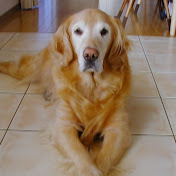 Profile Picture of JUN SATO (@junsato7755) on Youtube