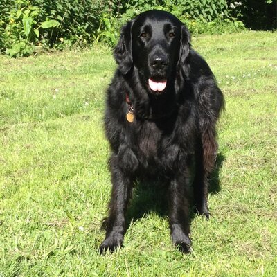 Profile Picture of Elaine Sinclair (@laineysinclair) on Twitter
