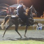 Profile Picture of Matt Flanary (@Matt-Flanary) on Facebook