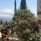 Profile Picture of   Hugo Vidal Brun... (@hugovidalbrun) on Tiktok