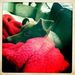 Profile Picture of Keri Wolfe (@keriwolfe) on Pinterest