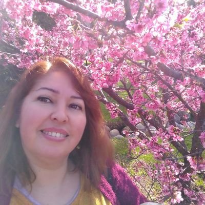 Profile Picture of Monica Lazos (@monica_lazos) on Twitter