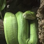 Profile Picture of Bryan kowalczyk (@bryan.kowalczyk) on Instagram